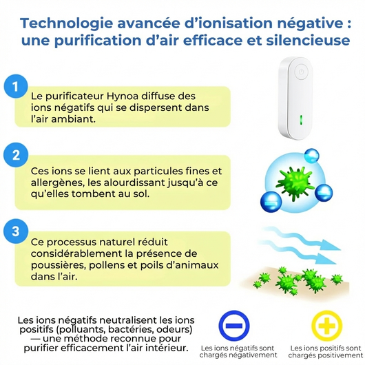 Hynoa Anti-Allergen Ionic Purifier
